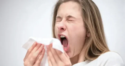 Why Do I Pee When I Sneeze?